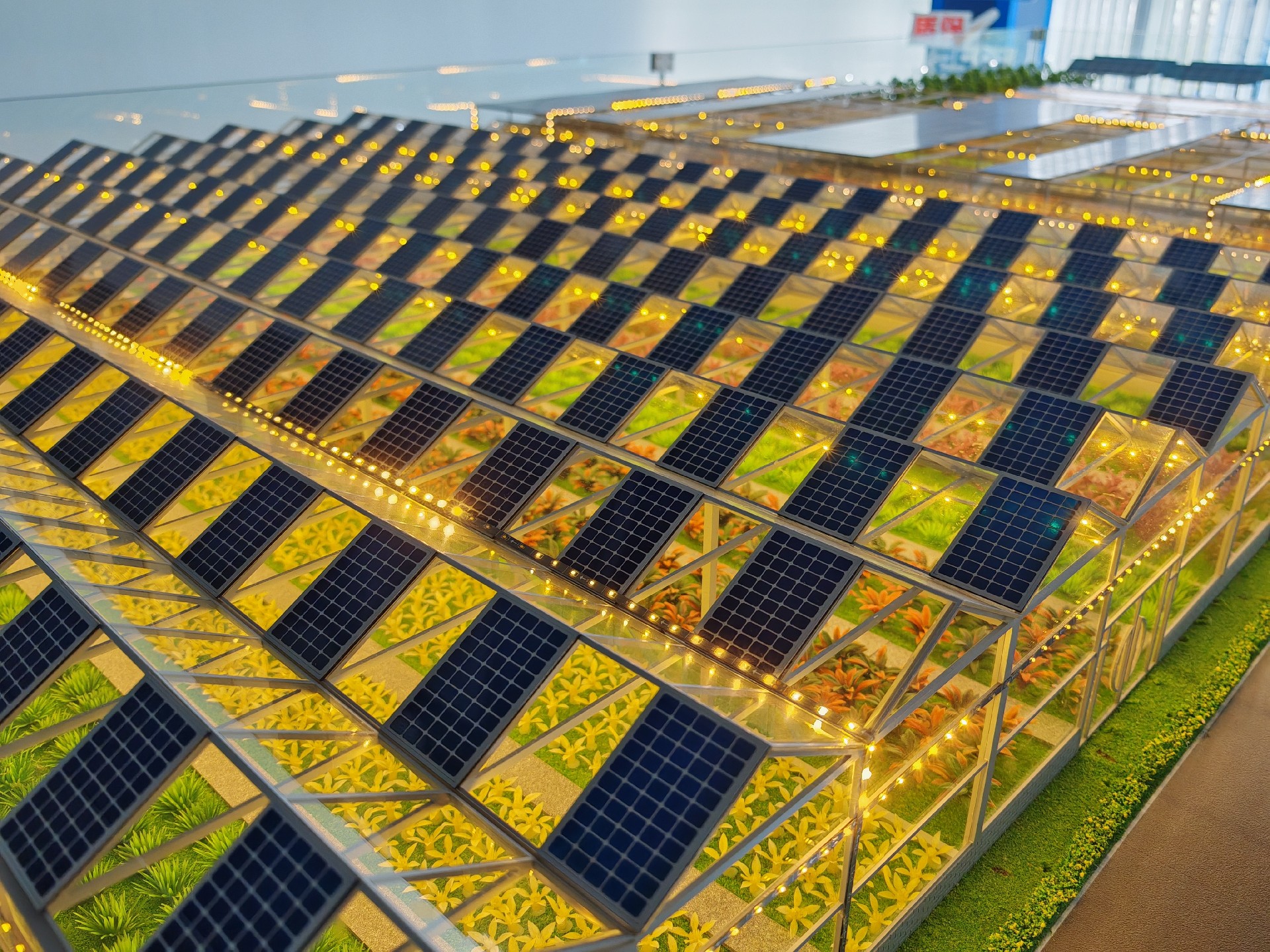 Photovoltaic&Agricultural Greenhouse