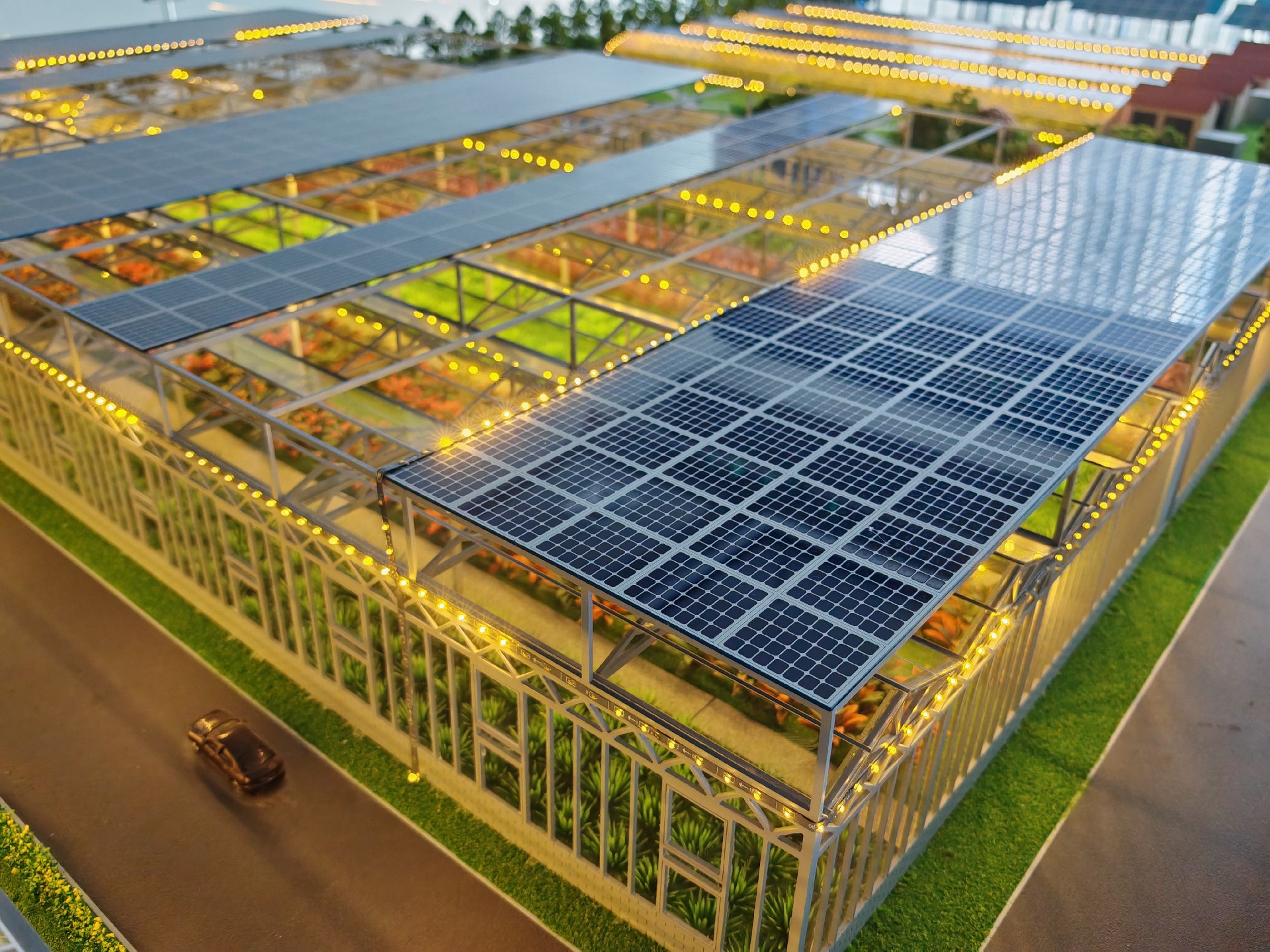 Photovoltaic&Agricultural Greenhouse