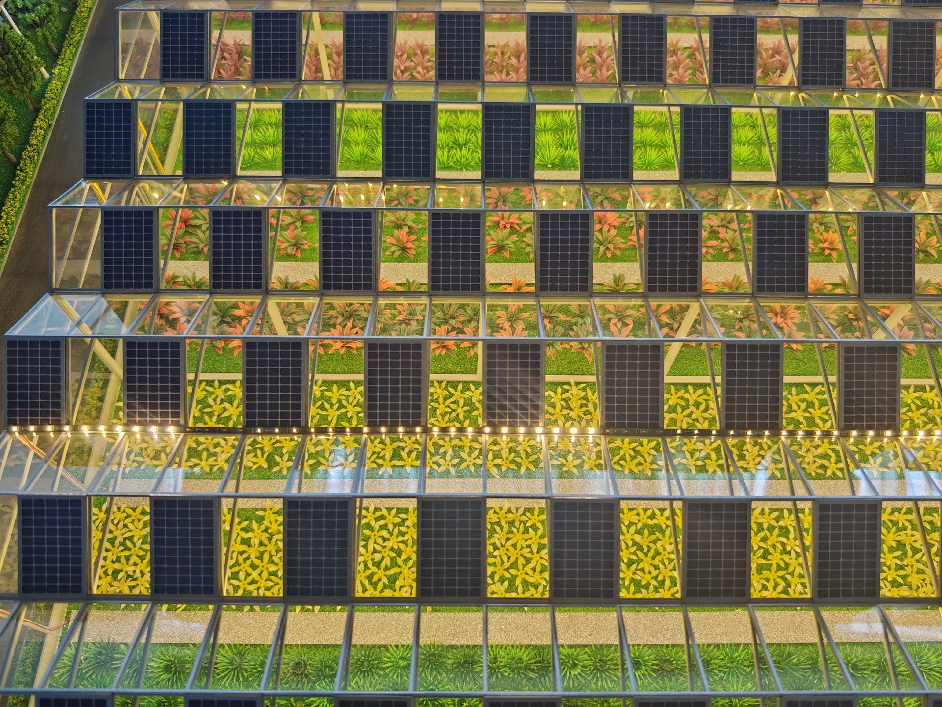 Photovoltaic&Agricultural Greenhouse
